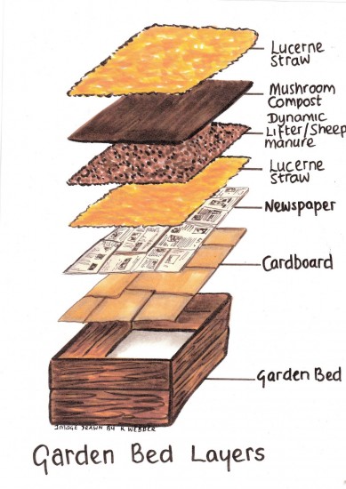 How to make raised garden beds - Layers