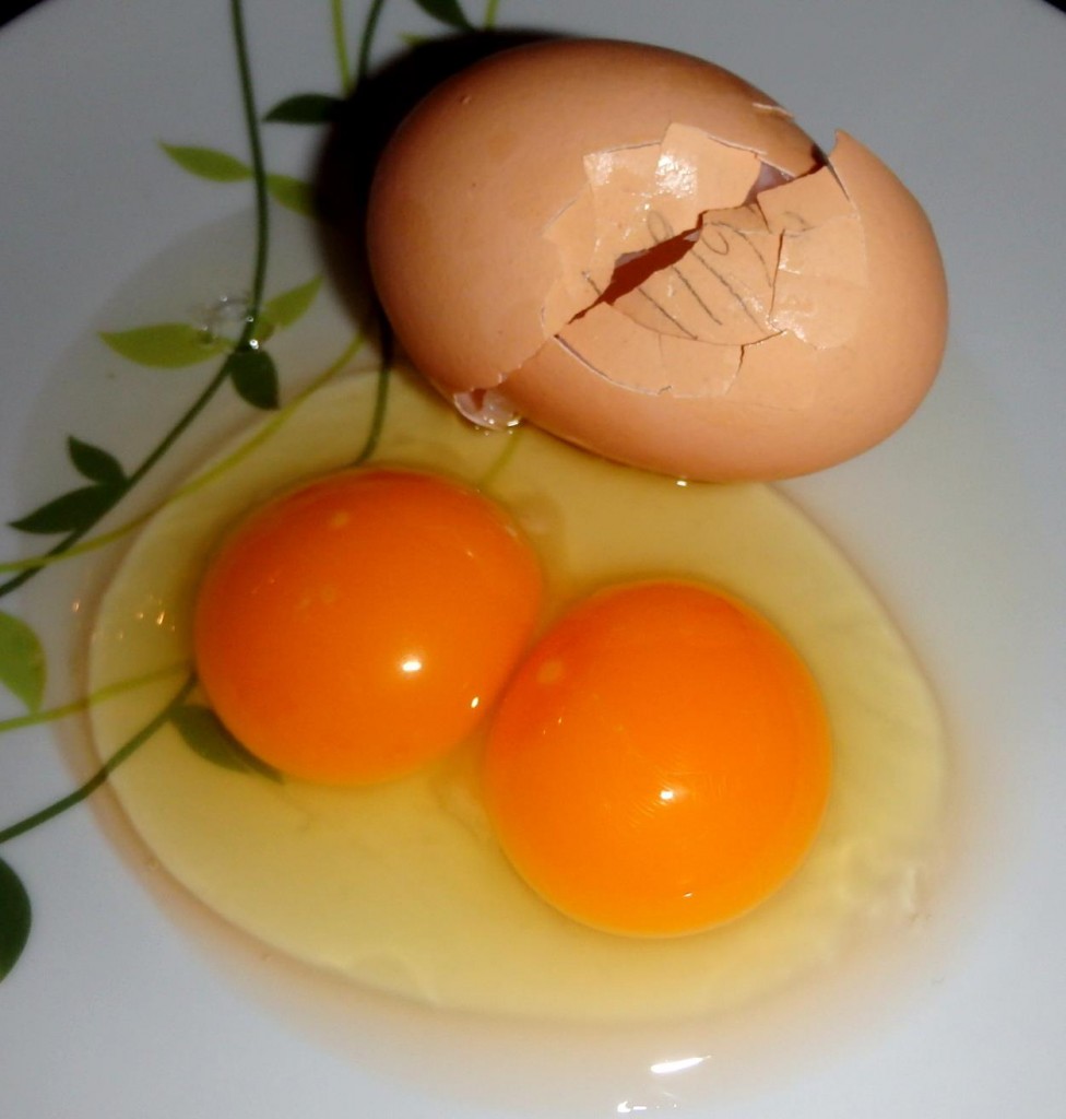 Double-yolker cracked