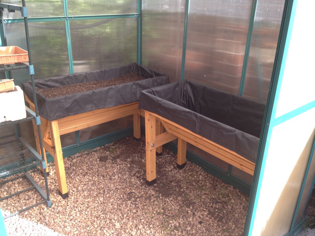 VegTrug in greenhouse