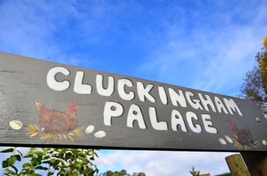 Cluckingham Palace sign