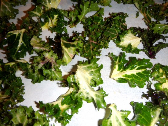 Kale leaves spaced apart