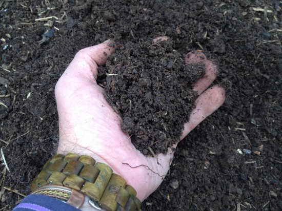 Well composted soil