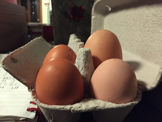Big Eggs