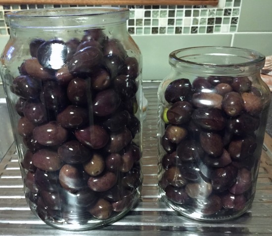 Curing Black Olives in jars