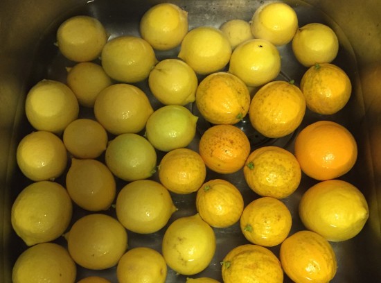 Washing citrus for 2 fruit marmalade