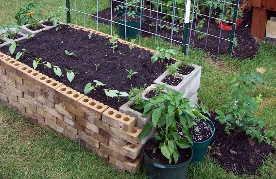 Growing Food In Raised Beds, Pictures Of Brick Raised Garden Beds