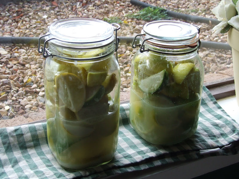 Pickled limes fermenting