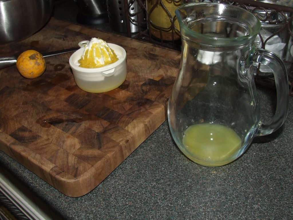 Juicing Lemonade fruit