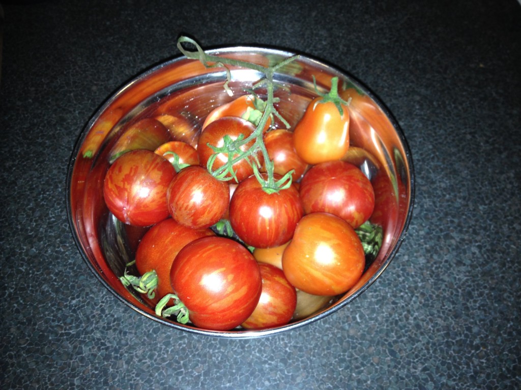 My tomatoes