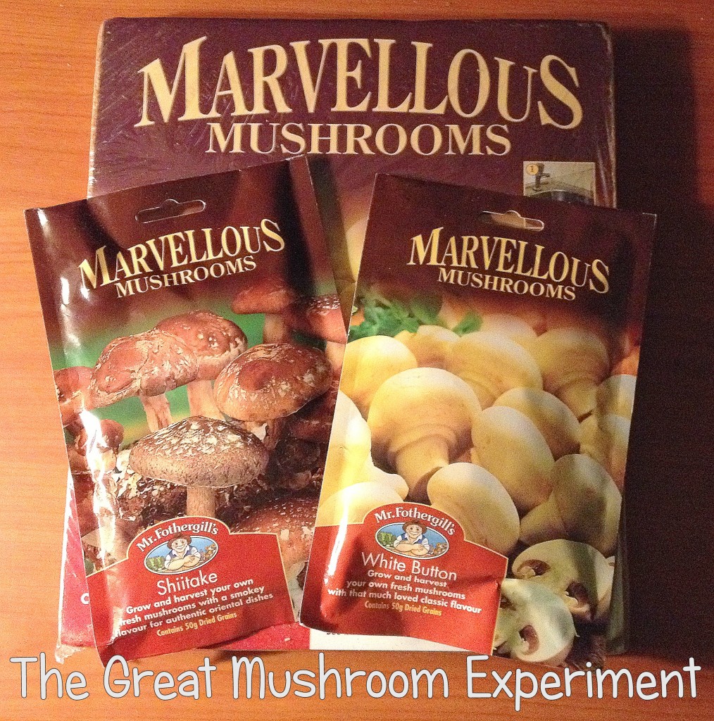 The Great Mushroom Experiment