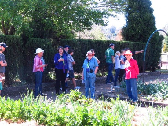 Kathy Finigan giving a tour of her garden