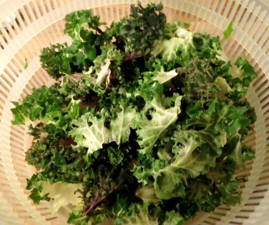 Dry Kale in salad spinner
