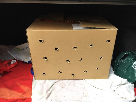 Chickens in a Box